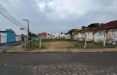 Terreno para alugar, fundinho - uberlândia/mg - rotina imobiliária