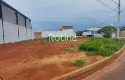 Terreno para alugar, novo mundo - uberlândia/mg - rotina imobiliária