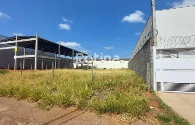 Terreno para alugar, alto umuarama - uberlândia/mg - rotina imobiliária