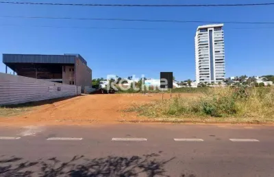 Terreno para alugar, morada da colina - uberlândia/mg - rotina imobiliária