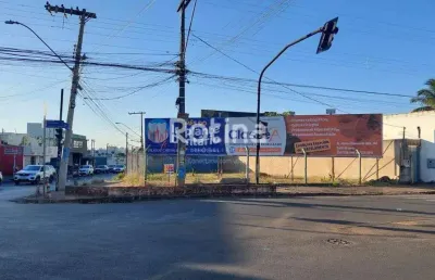 Área para alugar, granada - uberlândia/mg - rotina imobiliária