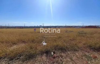 Terreno para alugar, alto umuarama - uberlândia/mg - rotina imobiliária