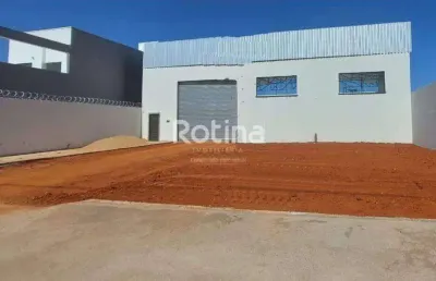 Galpão para alugar, custódio pereira - uberlândia/mg - rotina imobiliária