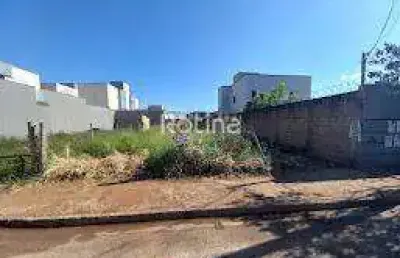 Terreno para alugar, novo mundo - uberlândia/mg - rotina imobiliária