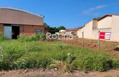 Terreno para alugar, jardim das palmeiras - uberlândia/mg - rotina imobiliária