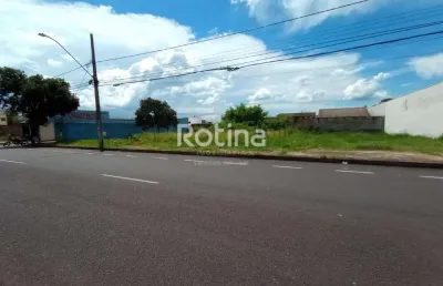 Terreno para alugar, jardim botânico - uberlândia/mg - rotina imobiliária