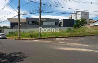 Área para alugar, jardim botânico - uberlândia/mg - rotina imobiliária