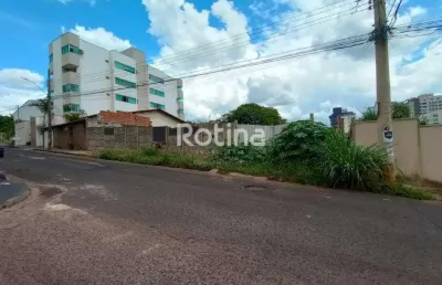 Área para alugar, patrimônio - uberlândia/mg - rotina imobiliária