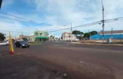Área para alugar, tibery - uberlândia/mg - rotina imobiliária