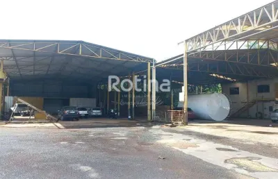 Galpão para alugar, distrito industrial - uberlândia/mg - rotina imobiliária