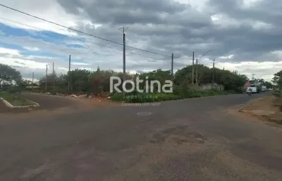 Terreno para alugar, segismundo pereira - uberlândia/mg - rotina imobiliária