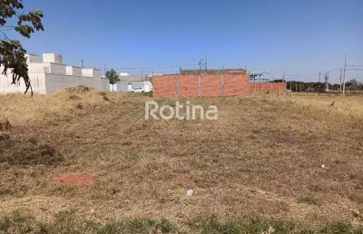 Terreno para alugar, minas gerais - uberlândia/mg - rotina imobiliária