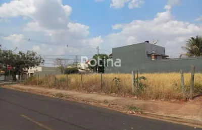 Terreno para alugar, jardim das palmeiras - uberlândia/mg - rotina imobiliária