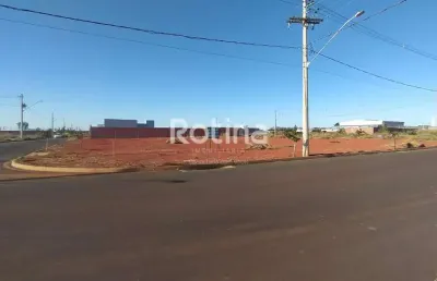 Área para alugar, novo mundo - uberlândia/mg - rotina imobiliária