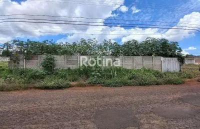 Terreno para alugar, cidade jardim - uberlândia/mg - rotina imobiliária