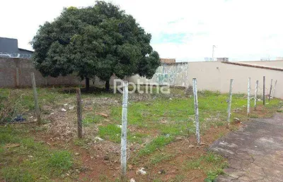 Terreno para alugar, pampulha - uberlândia/mg - rotina imobiliária