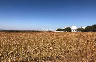 Área para alugar, morada nova - uberlândia/mg - rotina imobiliária