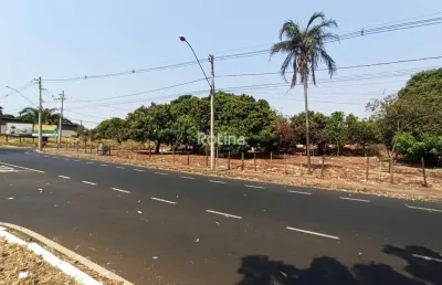 Terreno para alugar, jardim patrícia - uberlândia/mg - rotina imobiliária