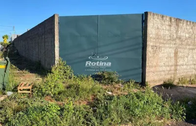 Terreno para alugar, tibery - uberlândia/mg - rotina imobiliária