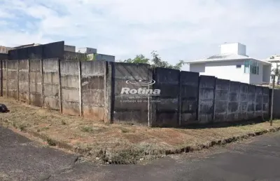 Terreno para alugar, vigilato pereira - uberlândia/mg - rotina imobiliária