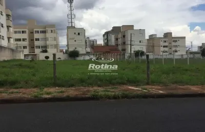 Terreno para alugar, santa mônica - uberlândia/mg - rotina imobiliária