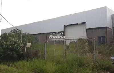 Galpão para alugar, distrito industrial - uberlândia/mg - rotina imobiliária