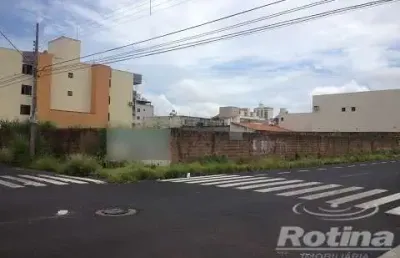 Terreno para alugar, brasil - uberlândia/mg - rotina imobiliária