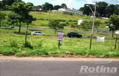 Terreno para alugar, segismundo pereira - uberlândia/mg - rotina imobiliária