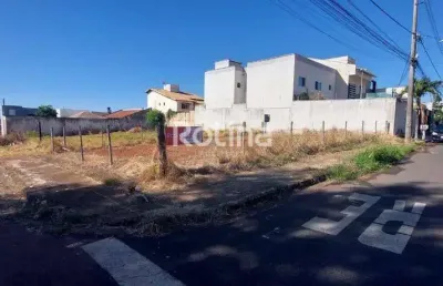 Terreno para alugar, alto umuarama - uberlândia/mg - rotina imobiliária