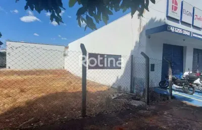 Terreno para alugar, brasil - uberlândia/mg - rotina imobiliária