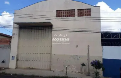Galpão para alugar, custódio pereira - uberlândia/mg - rotina imobiliária