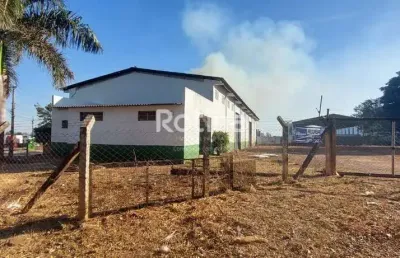 Galpão para alugar, distrito industrial - uberlândia/mg - rotina imobiliária
