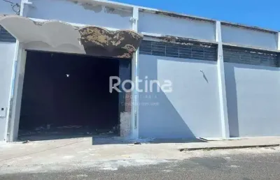 Galpão para alugar, custódio pereira - uberlândia/mg - rotina imobiliária