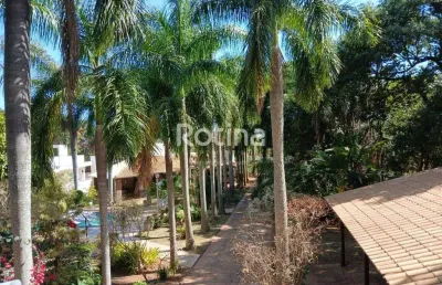 Casa para alugar, 4 quartos, mansões aeroporto - uberlândia/mg - rotina imobiliária