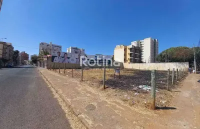 Terreno para alugar, santa mônica - uberlândia/mg - rotina imobiliária