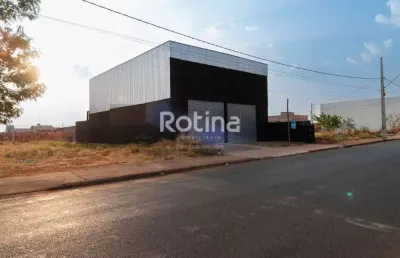Galpão para alugar, são jorge - uberlândia/mg - rotina imobiliária