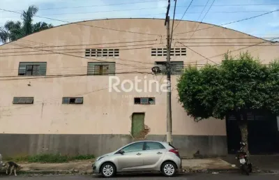Galpão para alugar, osvaldo rezende - uberlândia/mg - rotina imobiliária