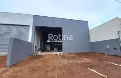 Galpão para alugar, shopping park - uberlândia/mg - rotina imobiliária