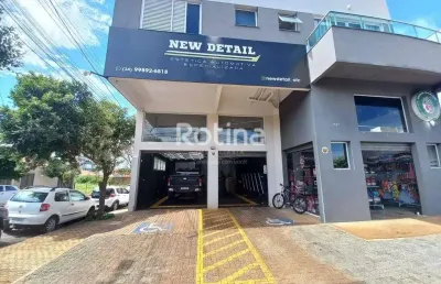 Apartamento para alugar, 2 quartos, segismundo pereira - uberlândia/mg - rotina imobiliária