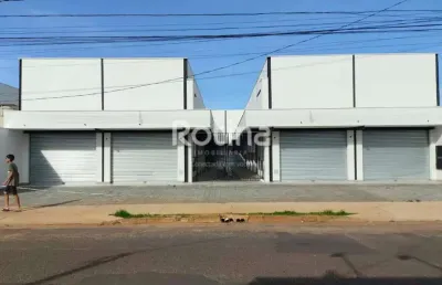 Loja para alugar, shopping park - uberlândia/mg - rotina imobiliária