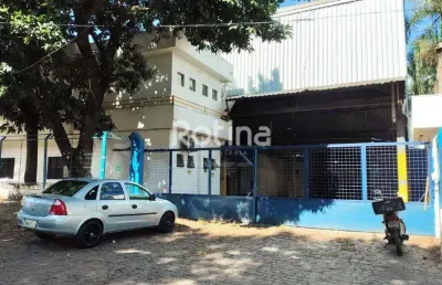 Galpão para alugar, distrito industrial - uberlândia/mg - rotina imobiliária