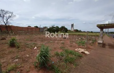 Terreno para alugar, shopping park - uberlândia/mg - rotina imobiliária