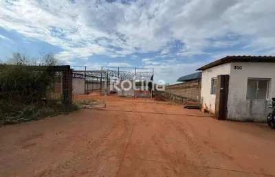 Galpão para alugar, distrito industrial - uberlândia/mg - rotina imobiliária