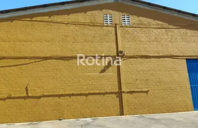 Galpão para alugar, distrito industrial - uberlândia/mg - rotina imobiliária