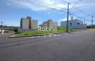Terreno para alugar, shopping park - uberlândia/mg - rotina imobiliária