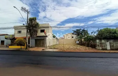 Terreno para alugar, alto umuarama - uberlândia/mg - rotina imobiliária