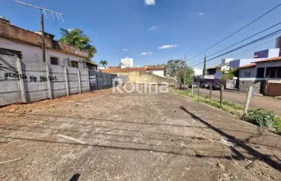 Terreno para alugar, tabajaras - uberlândia/mg - rotina imobiliária