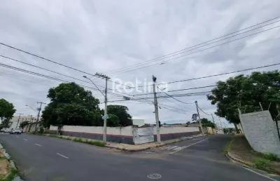 Área para alugar, vigilato pereira - uberlândia/mg - rotina imobiliária