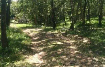 Chácara / sítio com 1 quarto à venda na Chácara Chácara / Coxipó Do Ouro, Zona Rural, Cuiabá