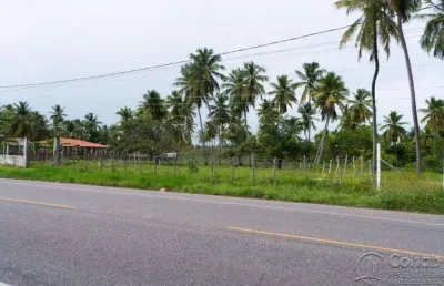 Terreno comercial à venda no Centro, Barra dos Coqueiros 